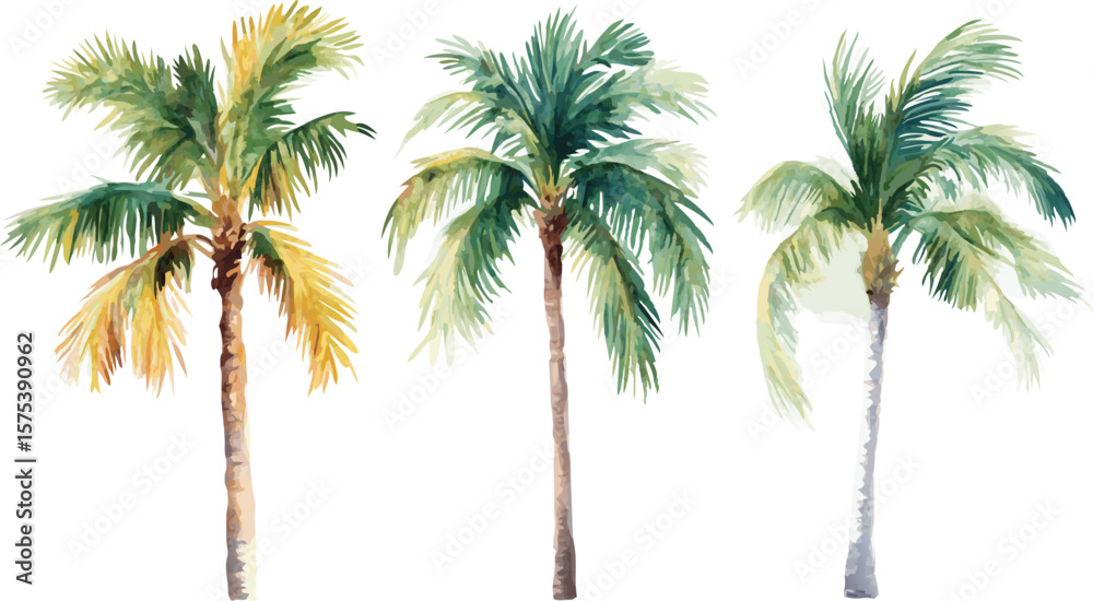 Obraz premium Watercolor Palm Trees Illustration on White Background for Summer and Tropical Designs
