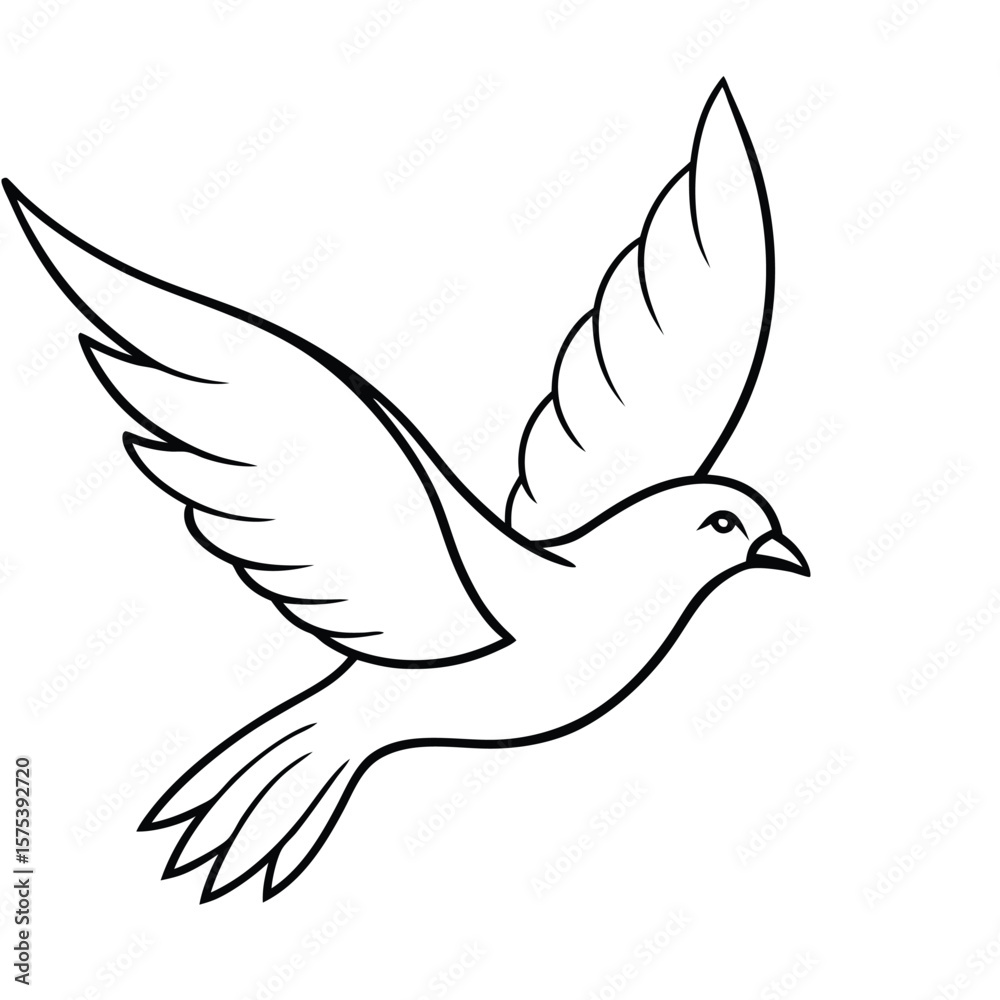 Fototapeta premium flying bird outline illustration