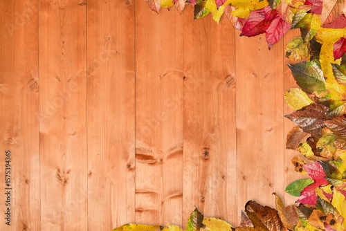Wooden plank surface is forming rustic backdrop with autumn leaves border, in flat design