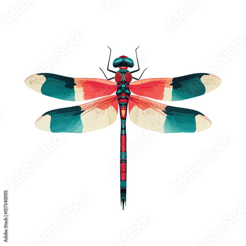 dragonfly isolated on white