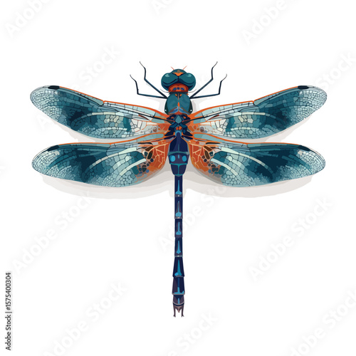 dragonfly isolated on white