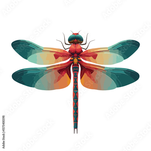 dragonfly isolated on white