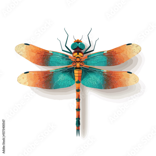 dragonfly isolated on white