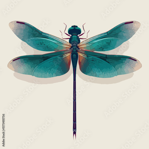 dragonfly isolated on white