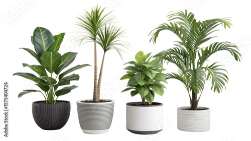 A curated collection of four distinct indoor potted plants featuring lush green foliage and modern planters perfect for enhancing home decor and interior design aesthetics