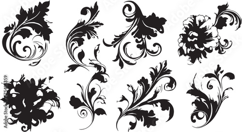 Elegant black floral design elements on white background for graphic projects