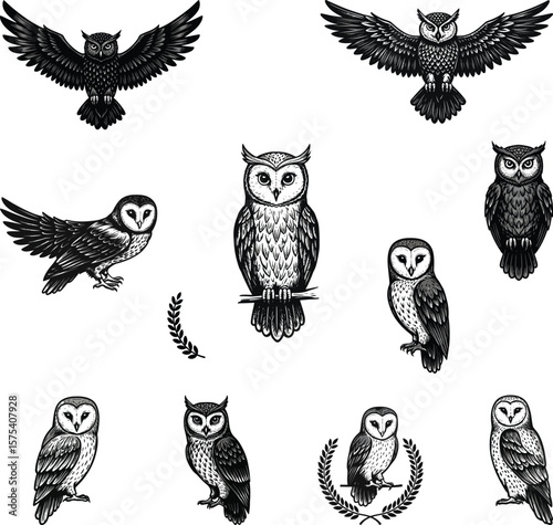 Vector art of a collection of various owls in different poses
