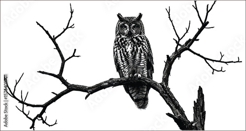 Vector art of a great horned owl perched on a bare tree branch