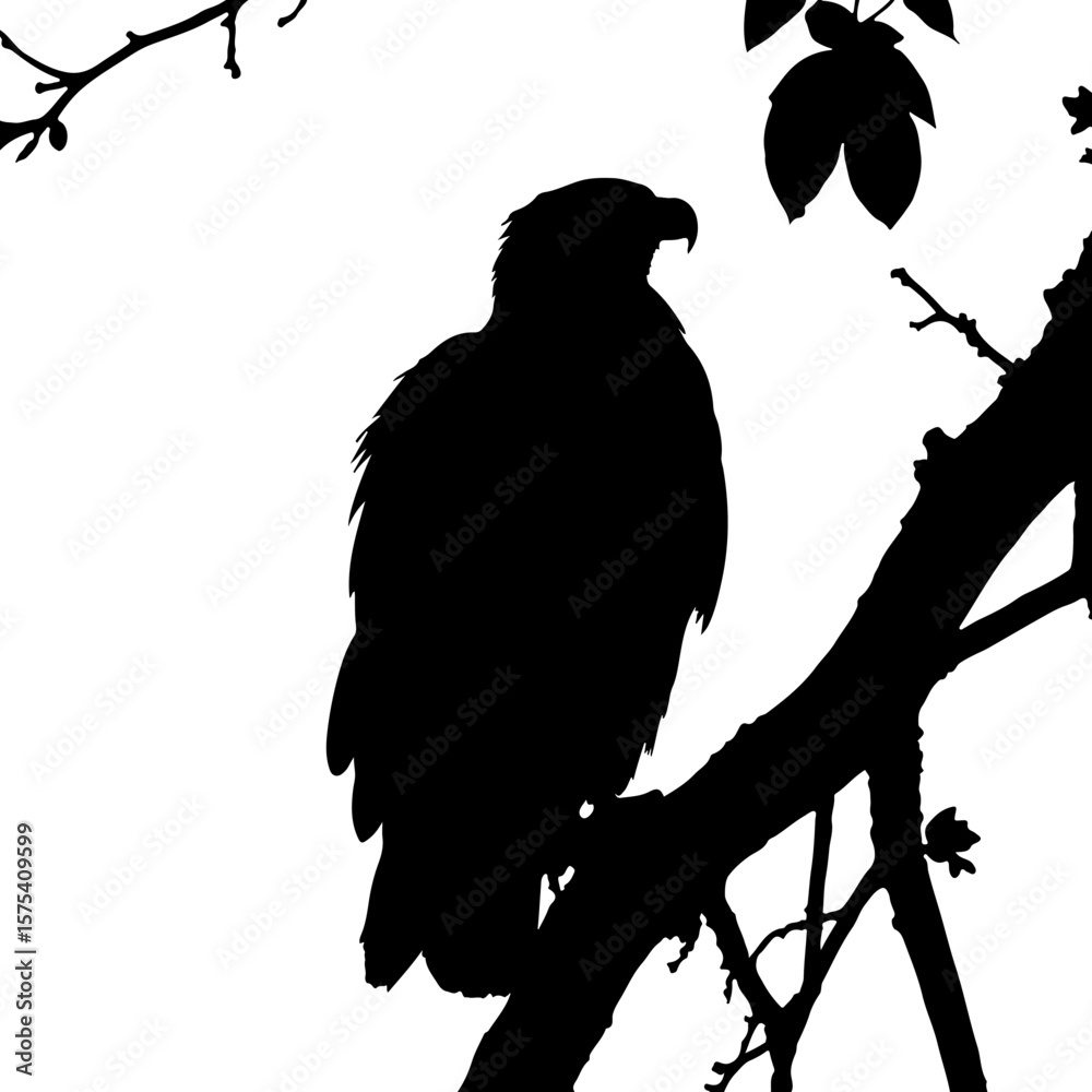 Obraz premium eagle on a branch