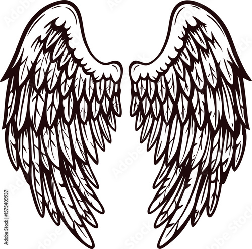 Detailed hand drawn illustration of open angel wings isolated on white background for tattoo or emblem design
