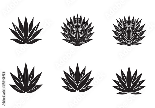 agave icon silhouette vector illustration
