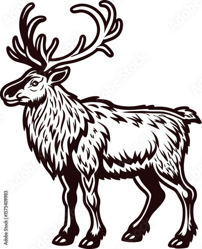 Detailed illustration of a standing elk with antlers, hand drawn sketch in vintage engraved isolated on white