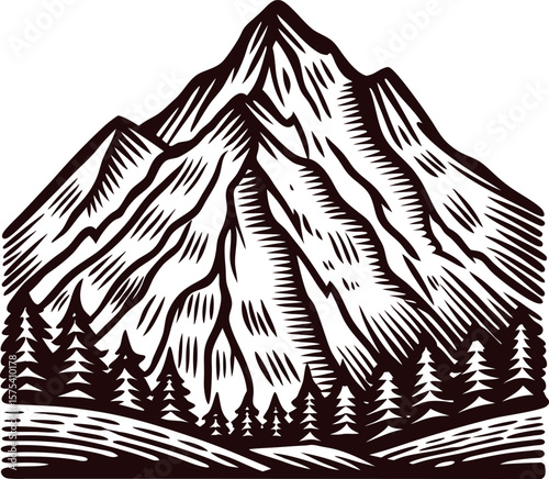 Hand drawn mountain landscape with pine trees vintage engraving illustration for nature and wilderness themes
