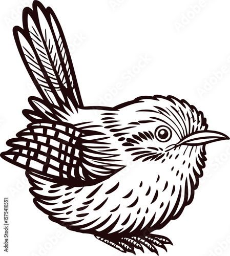 Hand drawn songbird sketch detailed ink illustration of a small bird with feathers and wings isolated on white background