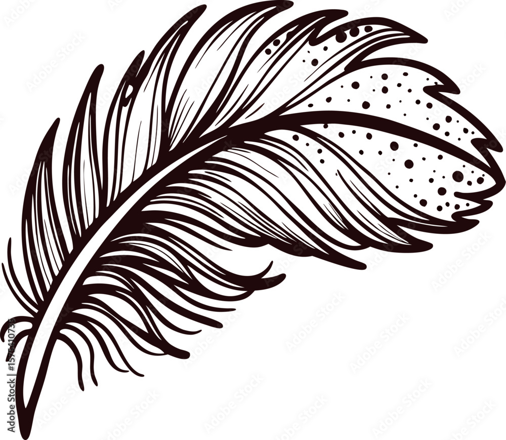 Obraz premium Hand drawn feather illustration isolated on white background vintage engraved feather sketch