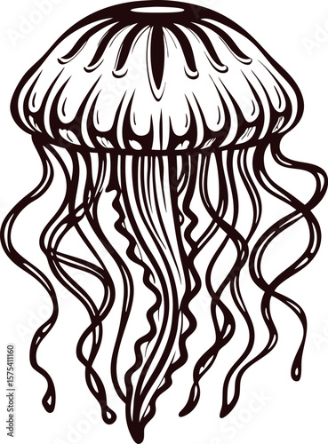 Hand drawn illustration of jellyfish in vintage engraved isolated on white background