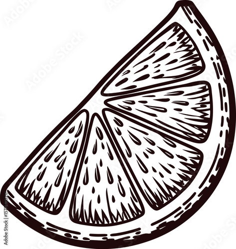 Hand drawn citrus fruit wedge illustration in vintage engraving isolated on white background