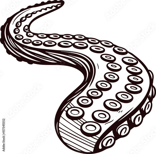 Ink drawn octopus tentacle isolated on white background vintage marine illustration with detailed suction cups