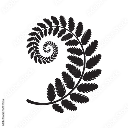 Black silhouette of a fern frond unfurling in a spiral pattern