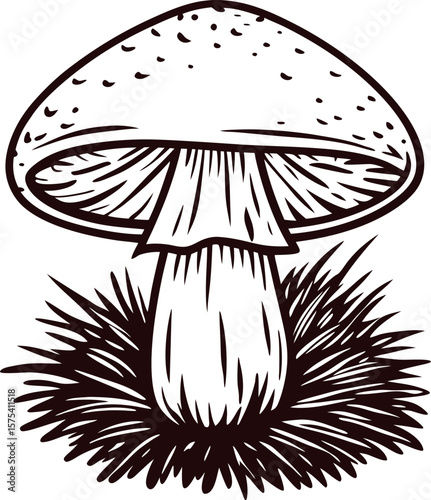 Detailed vintage drawing of wild mushroom growing in grass with engraved lines and textured cap illustration