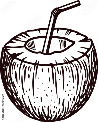 Hand drawn coconut with straw isolated on white background vintage tropical fruit sketch illustration