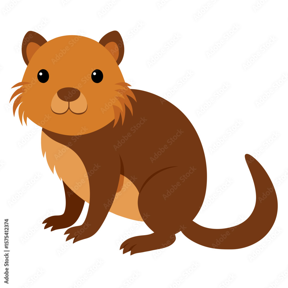 Fototapeta premium Muskrat on white background 