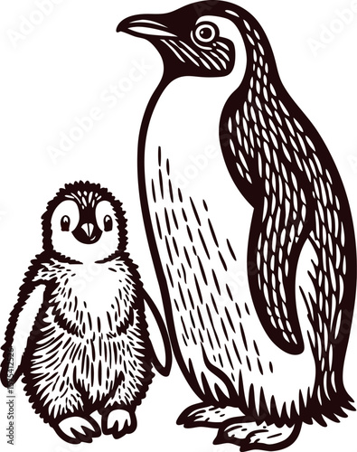 Hand drawn emperor penguin and chick isolated on white vintage engraved illustration, wildlife bird family portrait