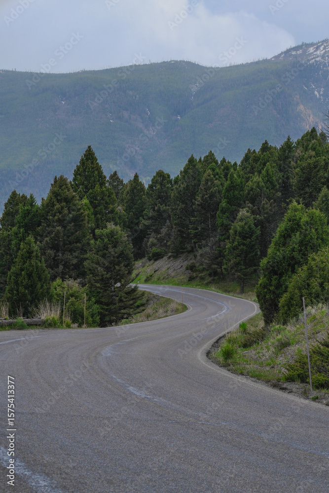 Fototapeta premium Winding Road Through Pine Forest and Mountains