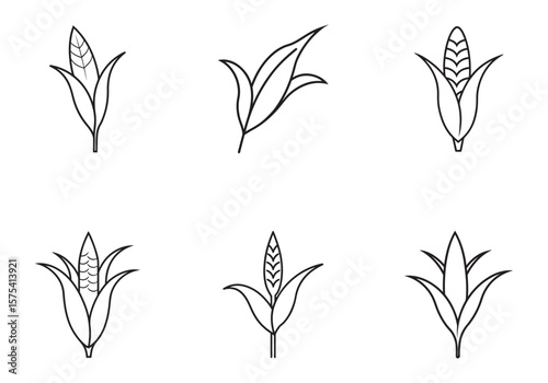 set of corn stalk icon line art vector illustration