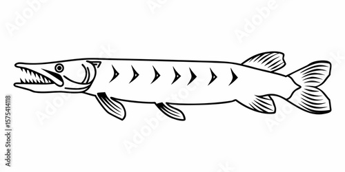 Barracuda Fish Vector Illustration – Sharp Teeth Line Art Design