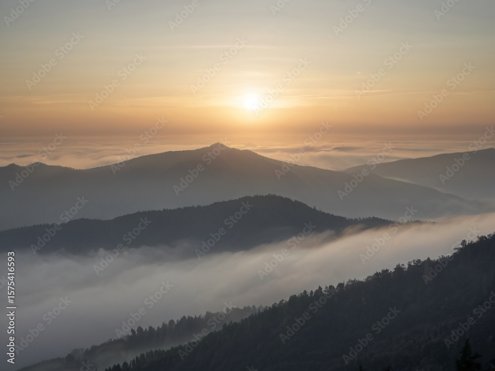 Fototapeta premium Sunrise with cloud sea surrounding mountains