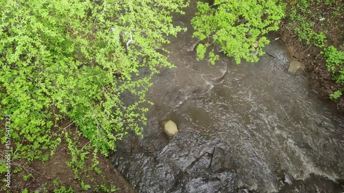 Stream in summer park. Wild stormy river flowing through dense forest. Stream of muddy water. Above view