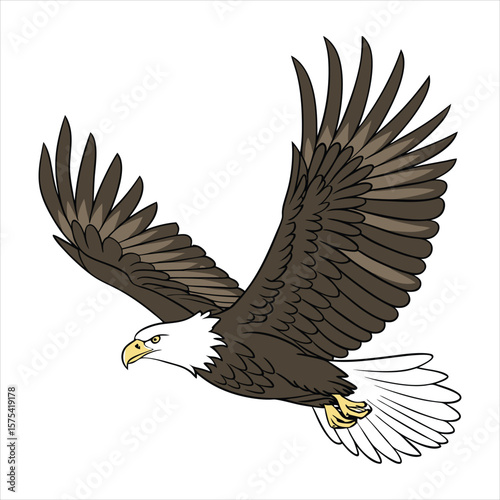hand drawn bald eagle spreading the wings