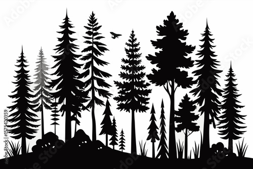 trees in the forest
