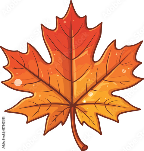 Maple leaf colorful illustration isolated on transparent background