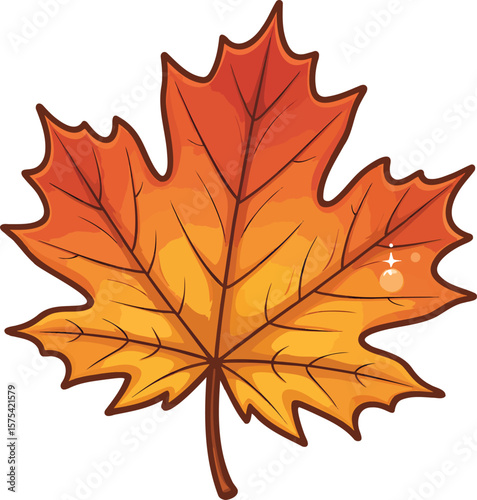 Maple leaf colorful illustration isolated on transparent background