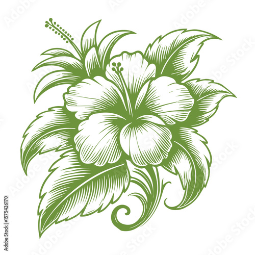 Tropical Hibiscus Flower Vector Illustration, AI Generate