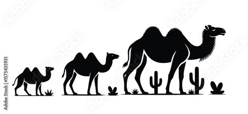 Three camels in silhouette stand among desert cacti, creating a stark, arid landscape illustration in black and white.