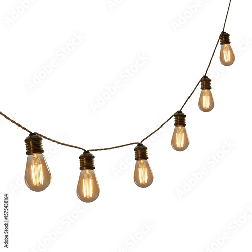 hanging decorative lights, LED string lights, fairy lights, cascading lights, pendant lights, warm white lights, festive lighting, waterfall lights, glowing decor, on white background	