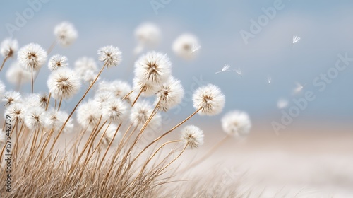 Dandelions in the wind across a sunny open meadow