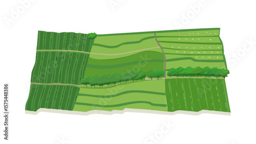 Aerial view of green agriculture farm land with crops and trees landscape illustration vector graphic design