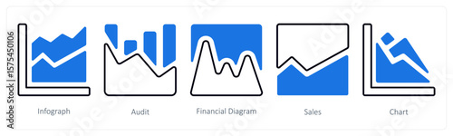 A set of 5 mix icons as infograph, audit, financial diagram