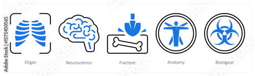 A set of 5 mix icons as organ, neuroscience, fracture