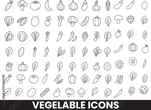 Collection of Fresh Vegetables and Healthy Food Doodles