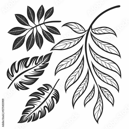 Black abstract botanical elements with detailed veins leaves white