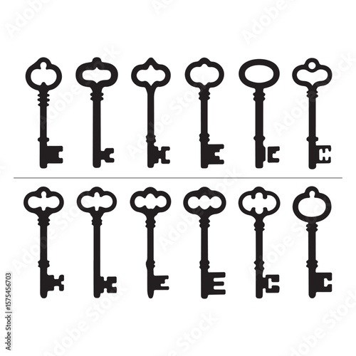 Collection of twelve different black and white key icons on a light gray background vector design