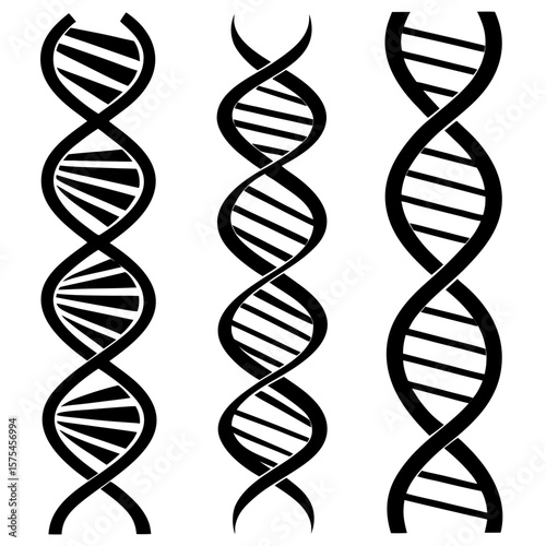 Black D N A Helix Silhouettes Twisted and Stra science biology