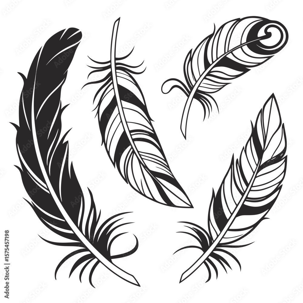 Obraz premium Black feather designs in various orientations and styles quill plume