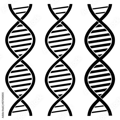 Black D N A helix patterns on white background double helix