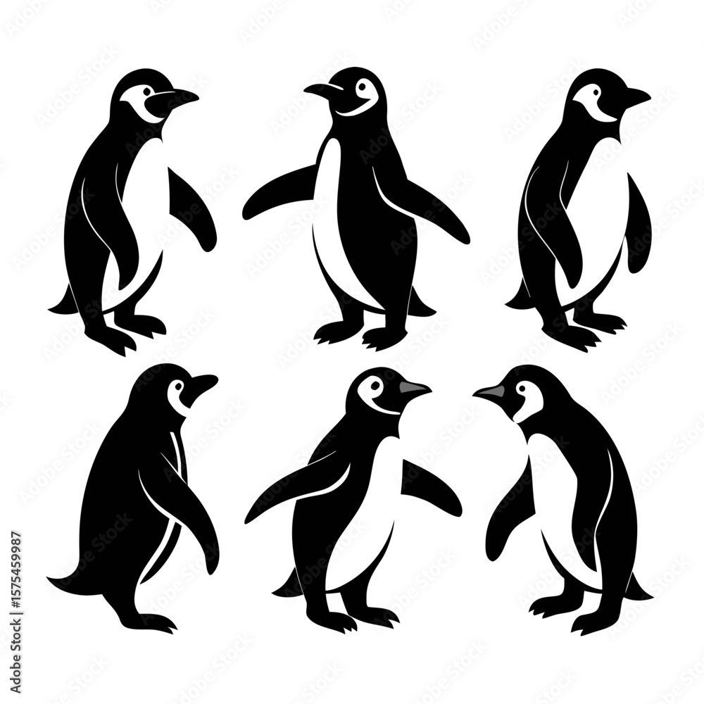 Naklejka premium Black white penguin poses walking standing flying animal wildlife